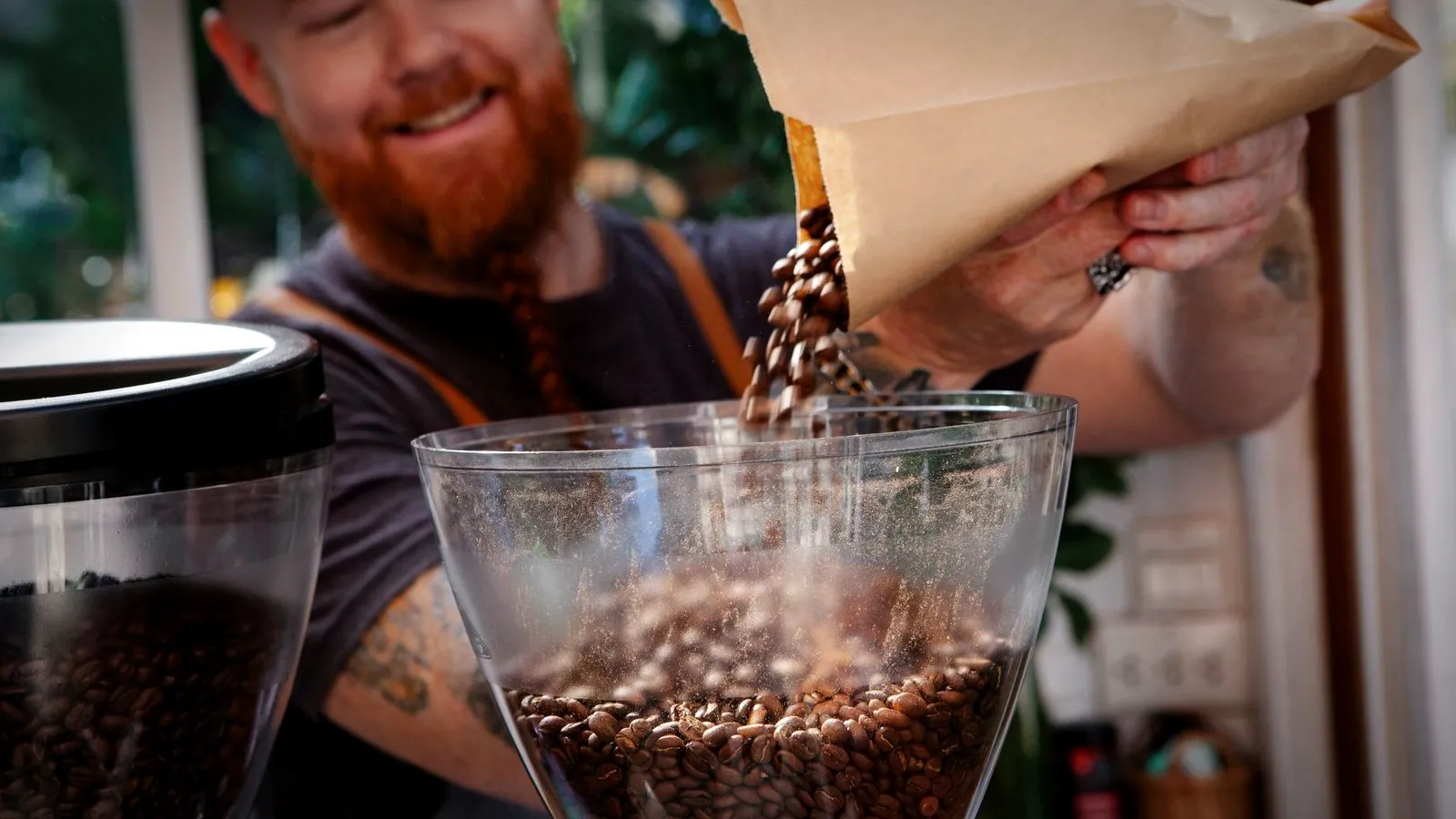 Barista pouring roasted coffee beans from a paper bag into the clear hopper of a coffee grinder