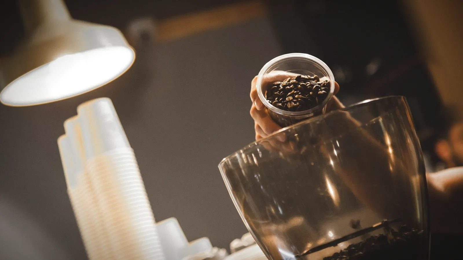 Roasted coffee beans being poured into a grinder hopper