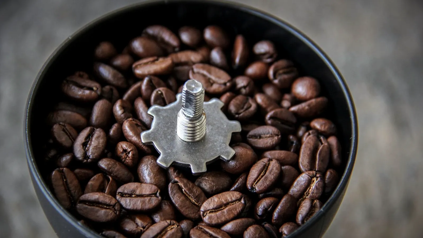 Coffee beans loaded around the central shaft of a hand burr grinder, seen from above