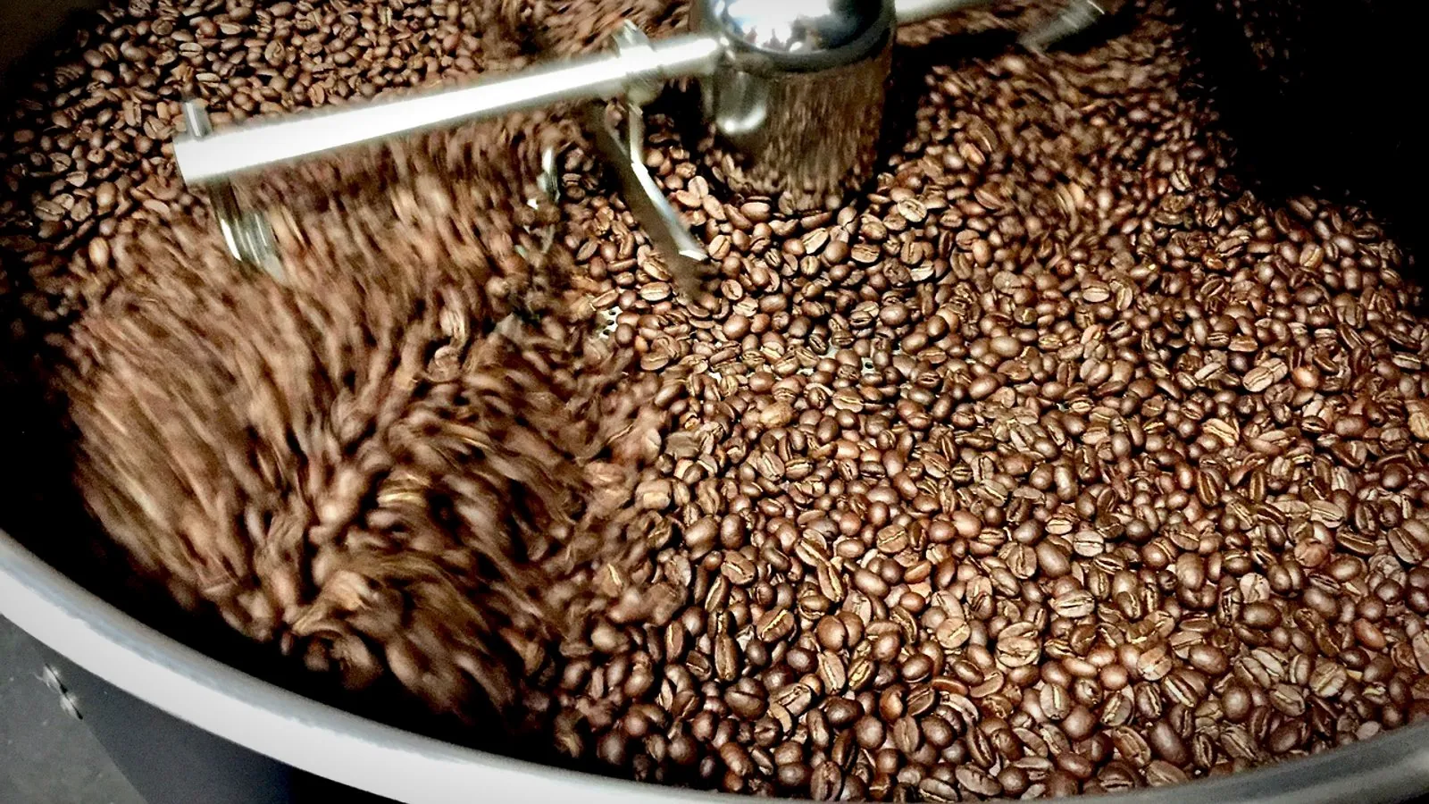 Freshly roasted coffee beans turning in a roaster’s cooling tray under a stirring arm