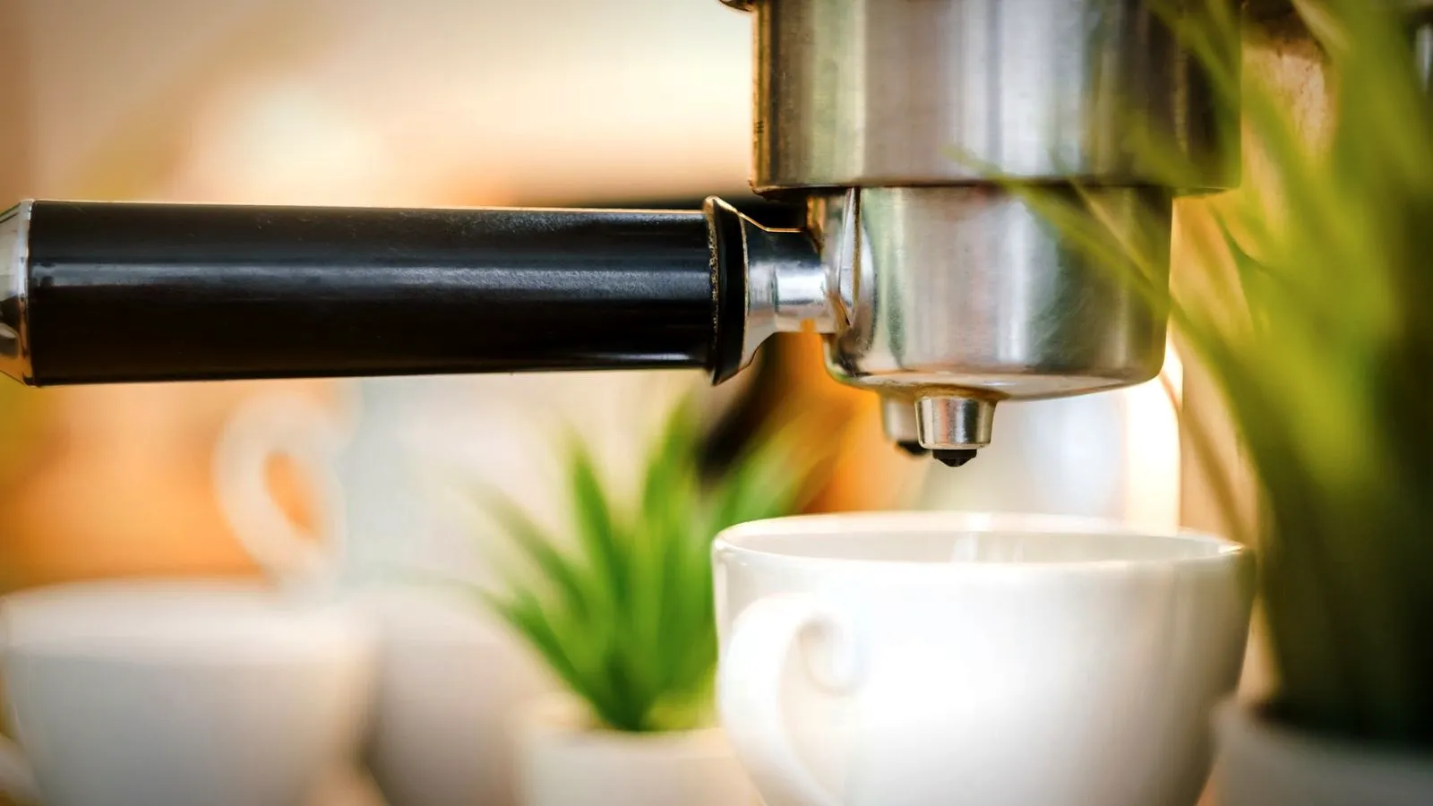 A compact espresso machine brewing into a white cup on its drip tray, with small plants in the background