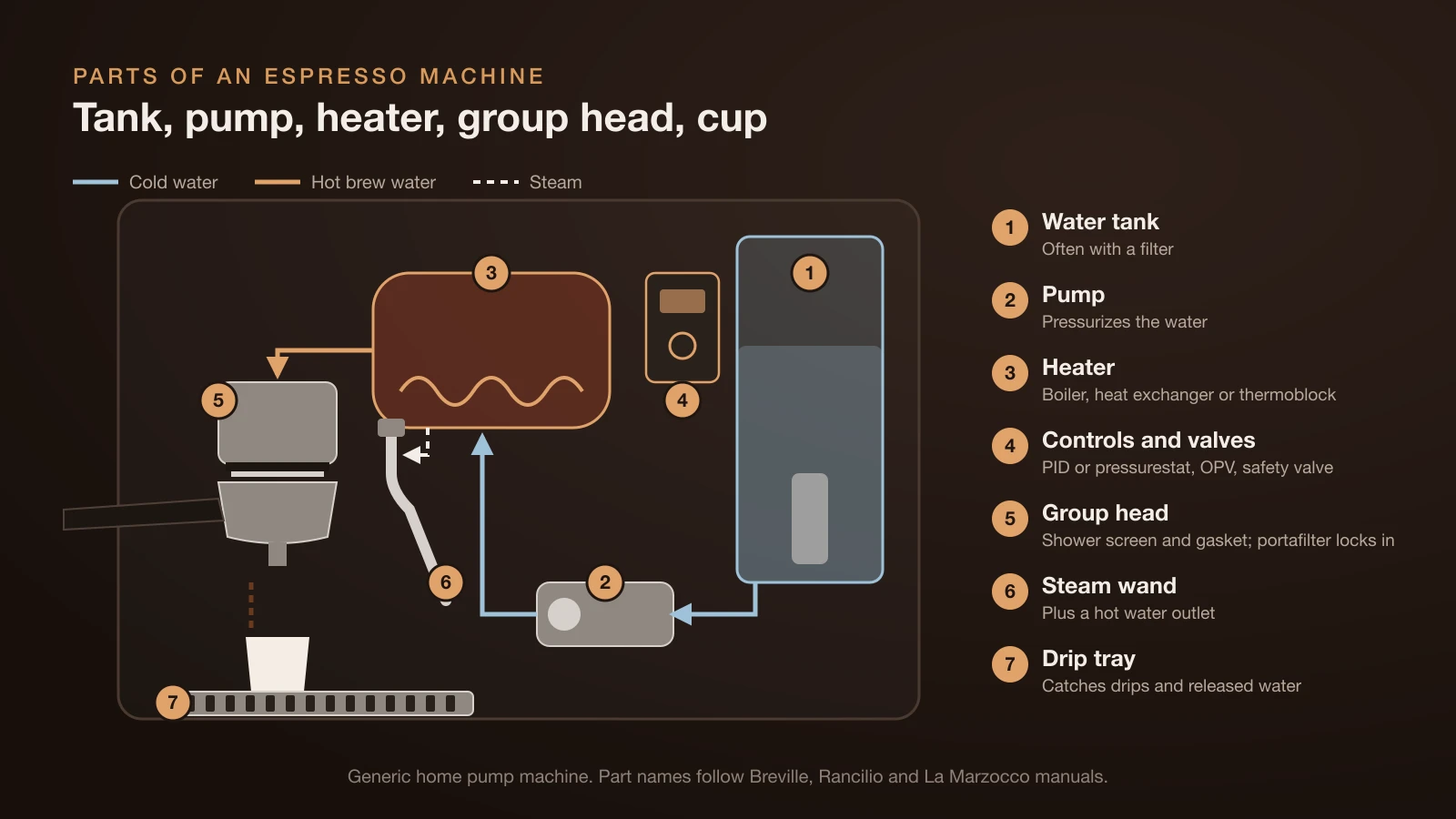 Cutaway diagram of a home espresso machine with seven numbered parts: water tank with filter, pump, heater, controls and valves, group head with shower screen and gasket, steam wand and drip tray, showing water flowing from the tank through the pump and heater to the group head and steam going to the wand