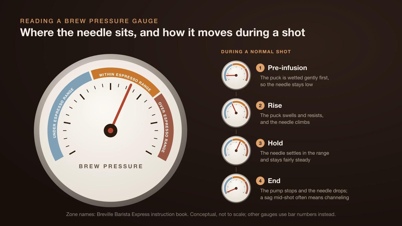 Diagram of a brew pressure gauge with three zones, Under, Within and Over Espresso Range, and the needle in the middle zone, beside four small gauges showing the needle low during pre-infusion, climbing, holding steady in the range and dropping when the pump stops