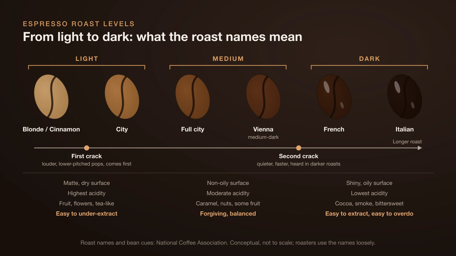 Diagram of coffee beans from light to dark roast: blonde or cinnamon and city are light, full city and Vienna medium, French and Italian dark; first crack comes earlier in the roast and second crack later, in darker roasts; light roasts are matte and acidic, dark roasts oily and bittersweet