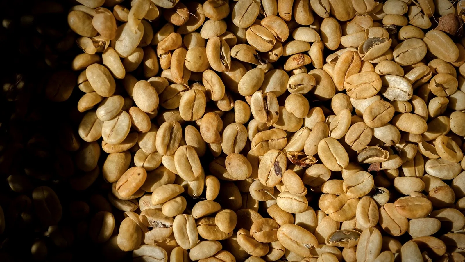 A pile of green, unroasted coffee beans