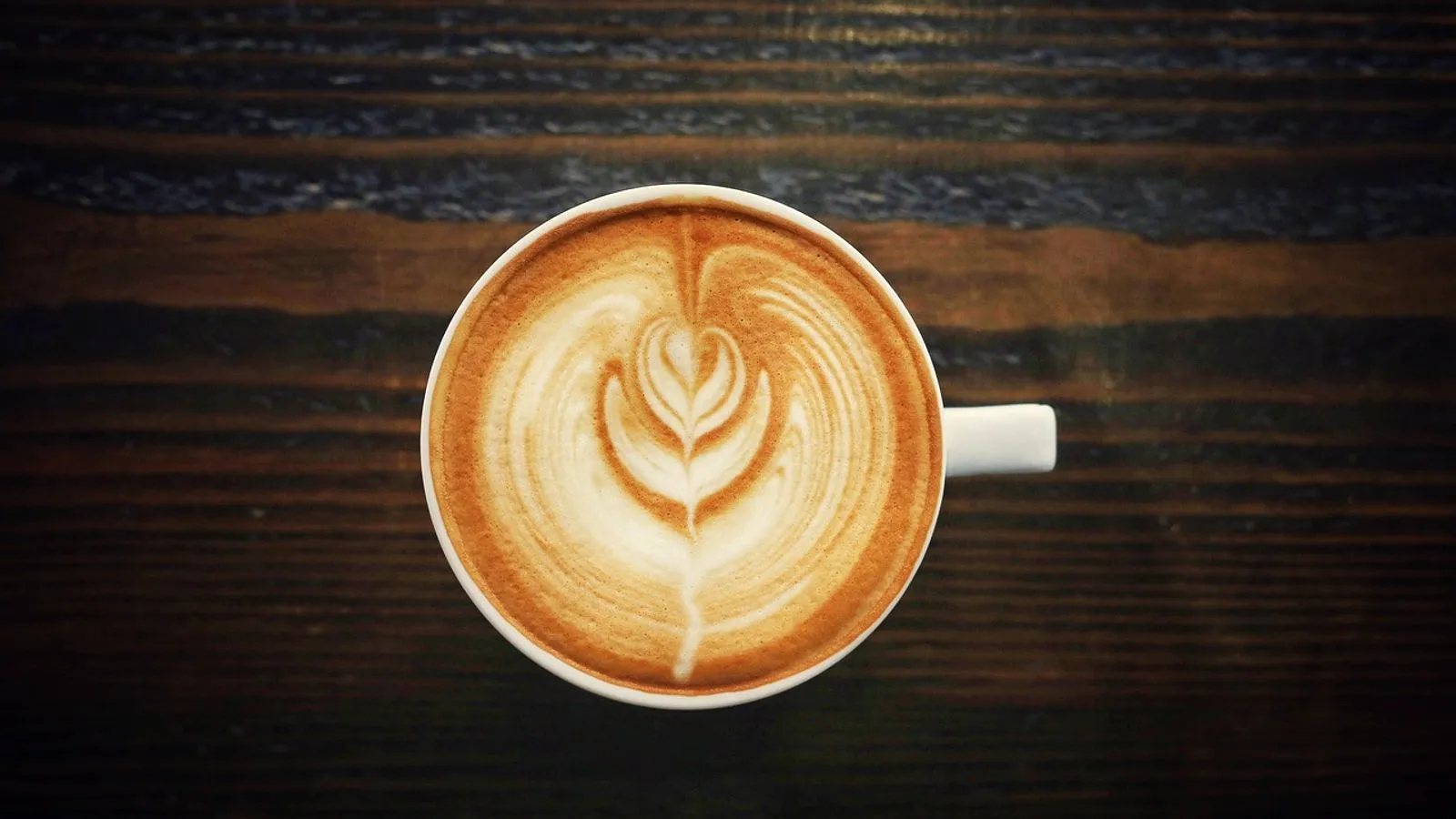A milk-based espresso drink with a rosetta latte art pattern, seen from above