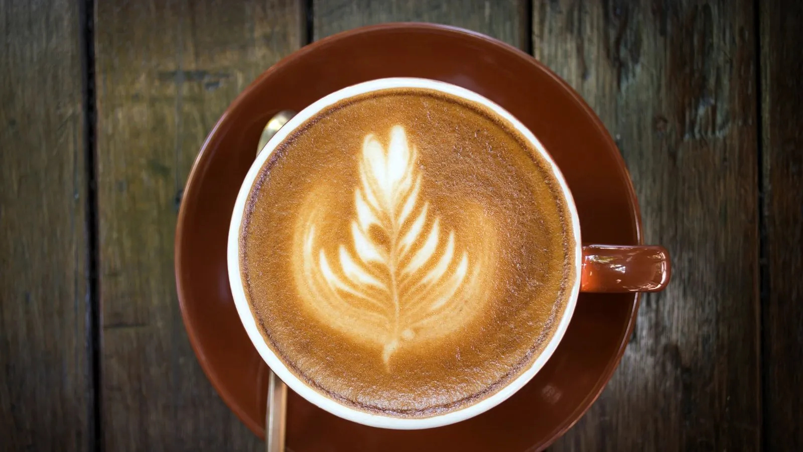Latte with fern latte art in a terracotta cup and saucer on weathered wood, seen from above