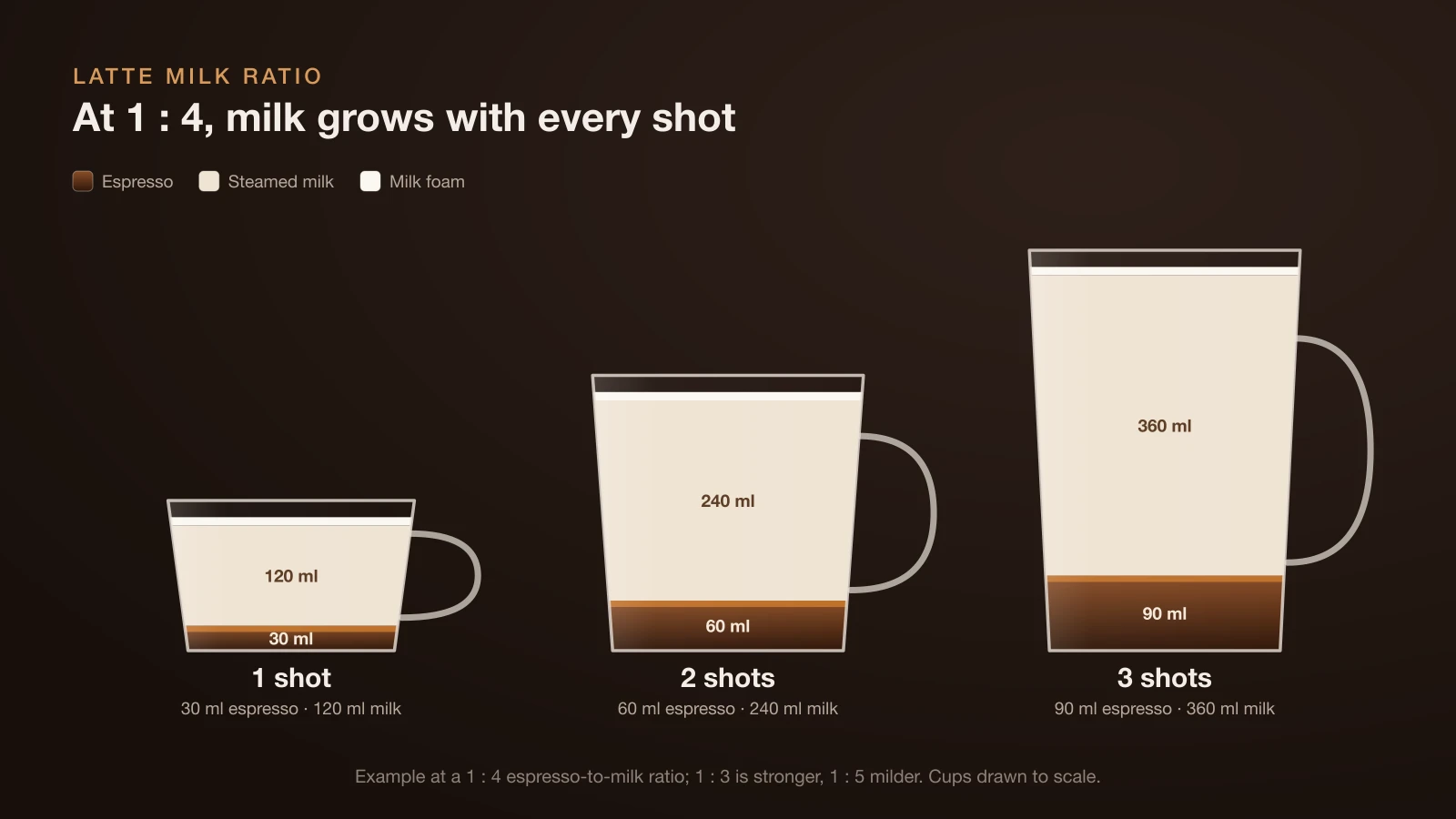 Diagram of three lattes at a 1 to 4 espresso-to-milk ratio: one shot with 120 ml of milk, two shots with 240 ml and three shots with 360 ml, each with a thin foam layer