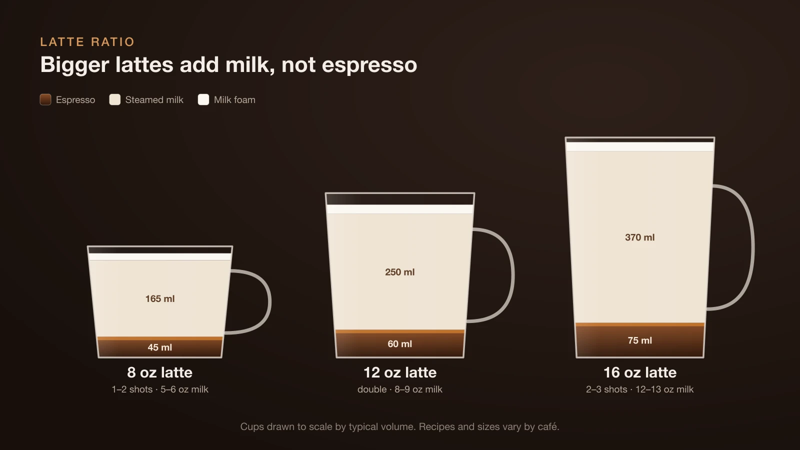 Diagram of 8, 12 and 16 ounce lattes as cross-sections showing that the espresso stays at one or two shots while the steamed milk layer grows with the cup size
