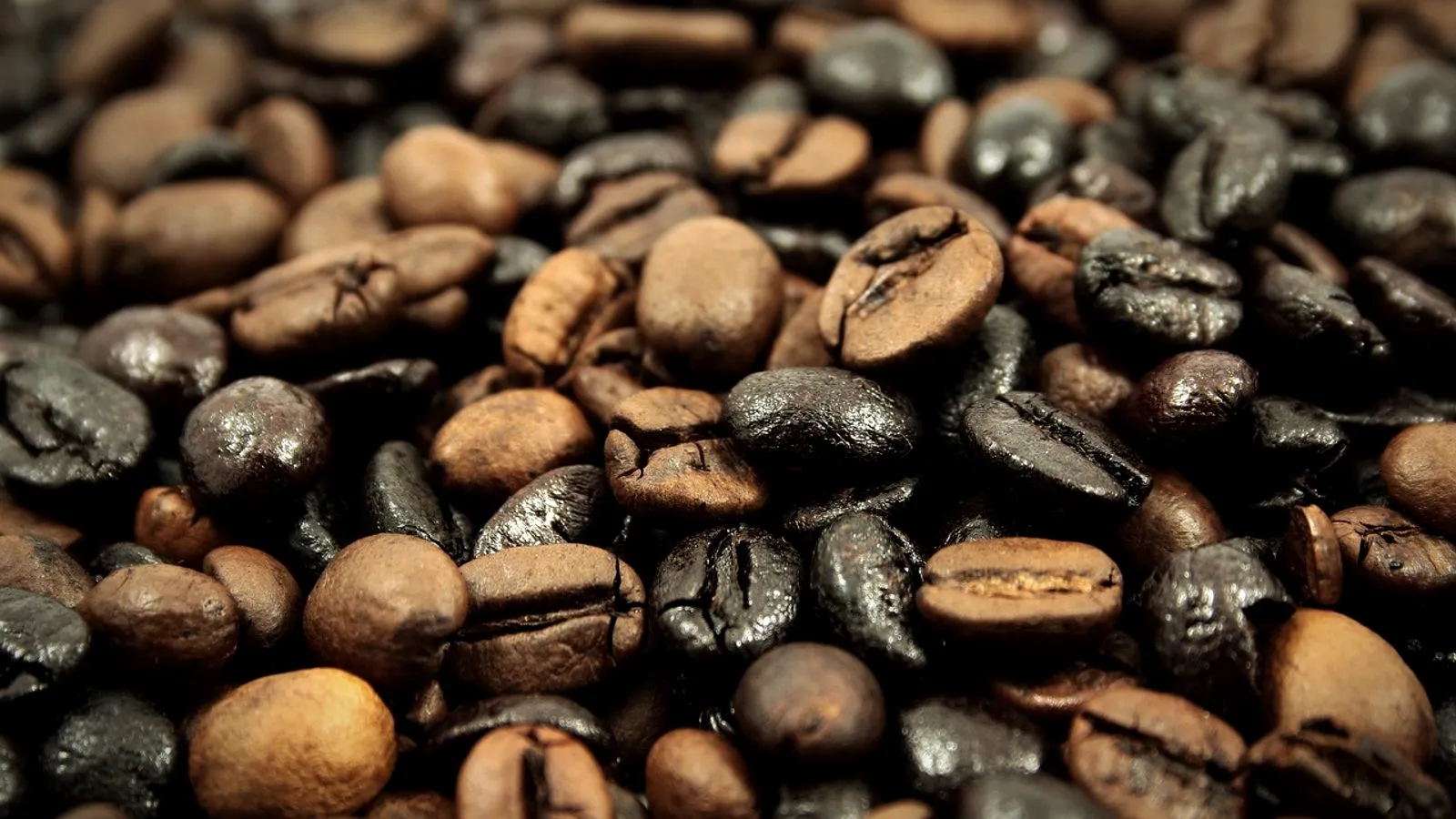 Light brown and dark, oily roasted coffee beans mixed together, close up