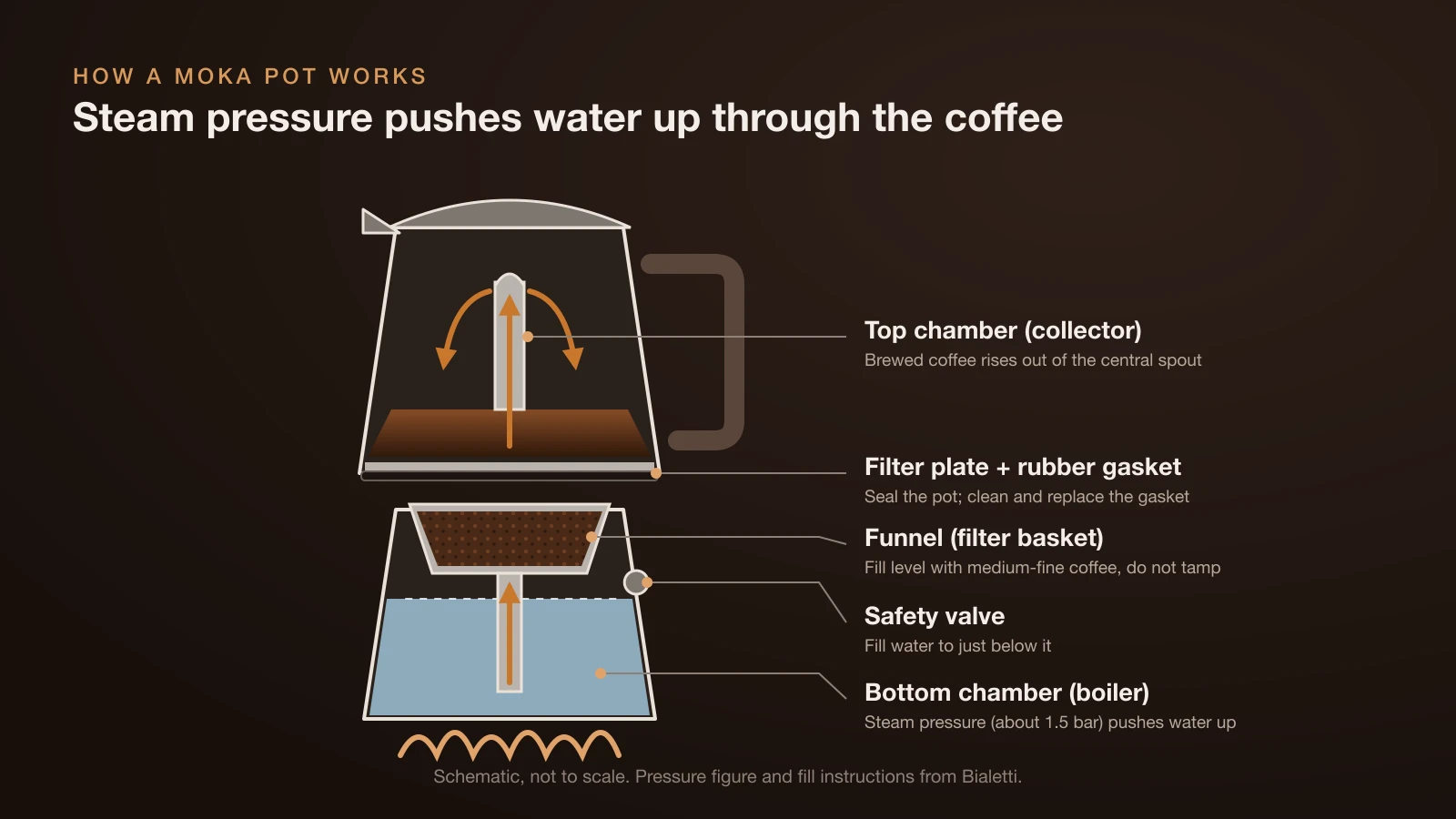 Cutaway diagram of a moka pot showing water in the bottom chamber below the safety valve, coffee in the funnel, and brewed coffee rising through the spout into the top chamber
