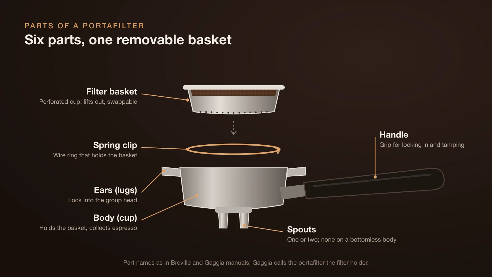 Exploded diagram of a spouted portafilter: the filter basket lifted out above, the spring clip that holds it, the body or cup with two locking ears, the handle, and the double spouts underneath