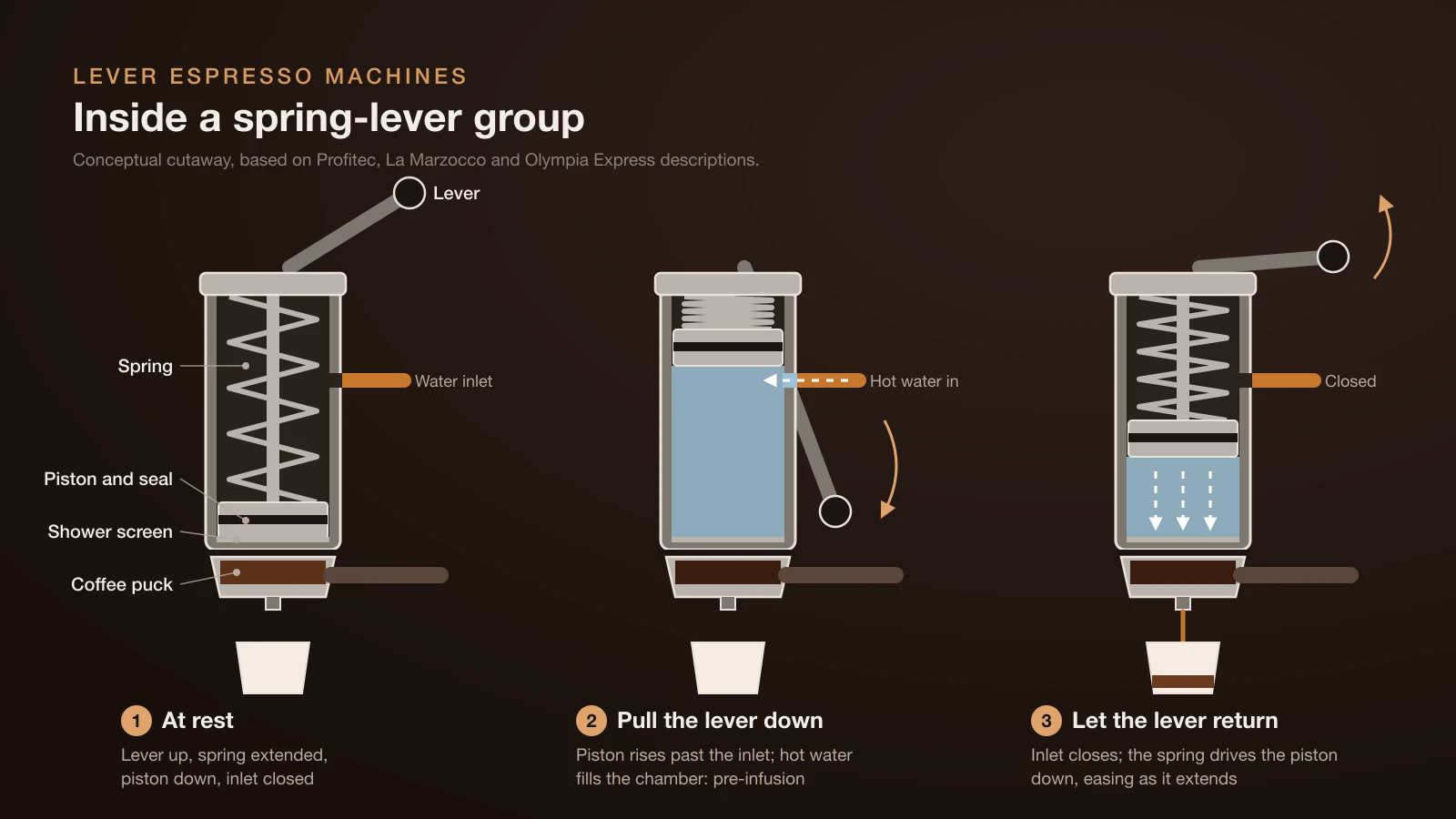 Cutaway diagram of a spring-lever espresso group in three positions: at rest the lever is up and the piston down; pulling the lever raises the piston, compresses the spring and lets hot water fill the chamber for pre-infusion; as the lever returns, the spring pushes the piston down and presses the water through the coffee