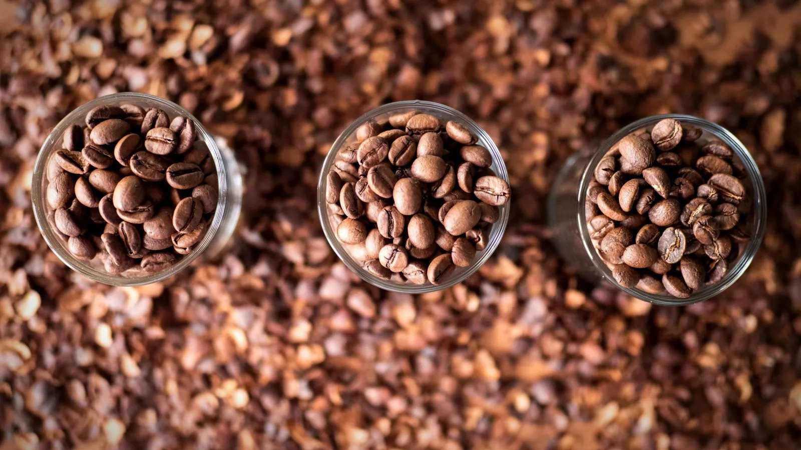 Three small glasses of roasted coffee beans in different roast levels, from lighter to darker